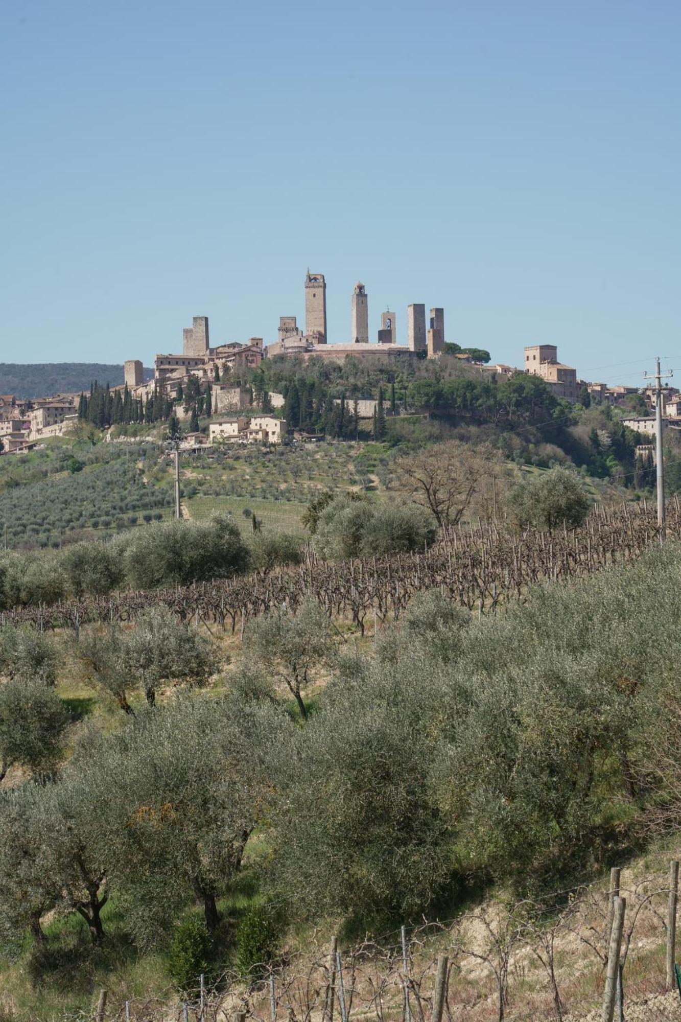 Charming House - Parking Included Apartment San Gimignano Exterior photo